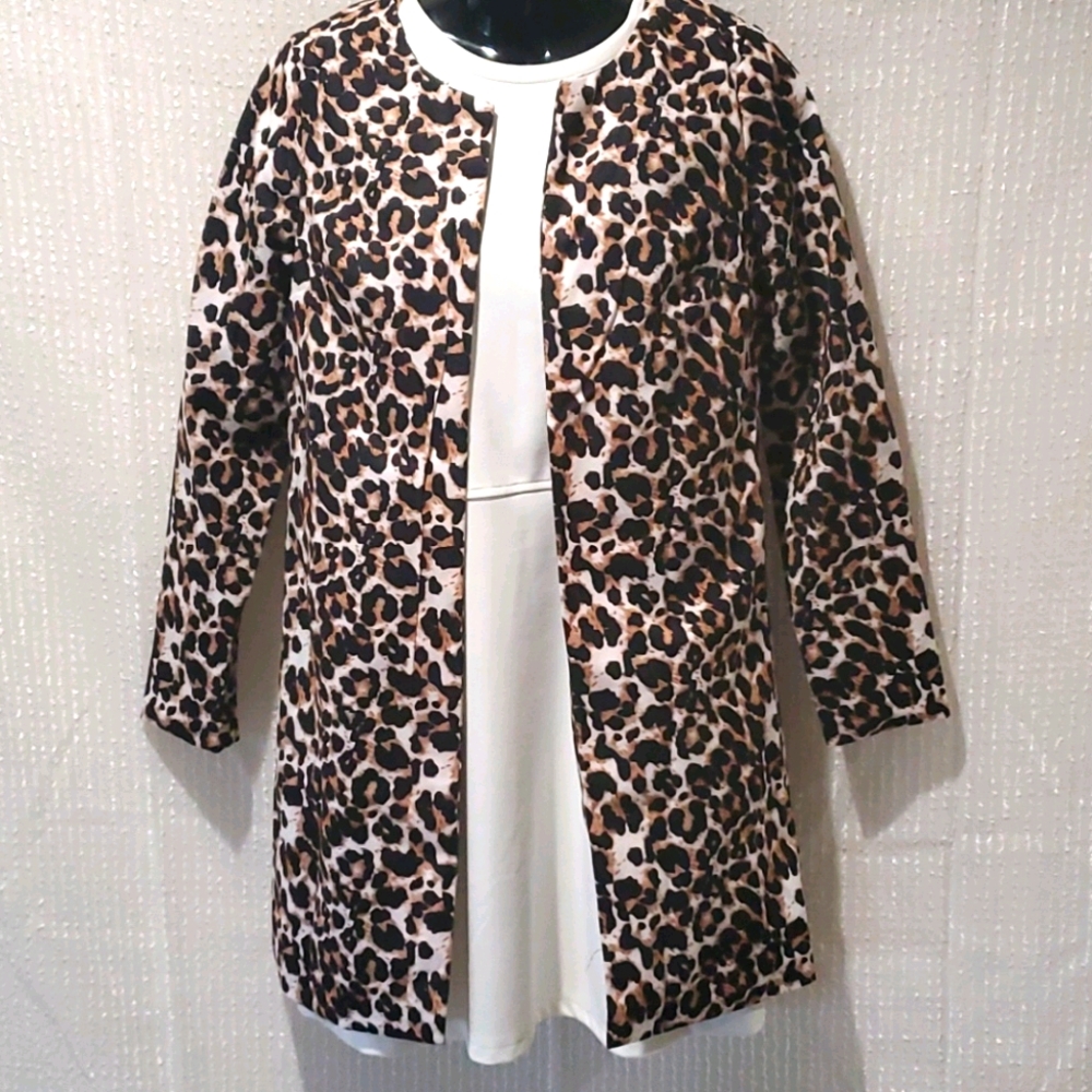 Zara dress and custom duster coat